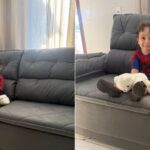 Criança de 2 anos faz compra de sofá de quase R$ 2 mil pelo celular da mãe em Vila Velha