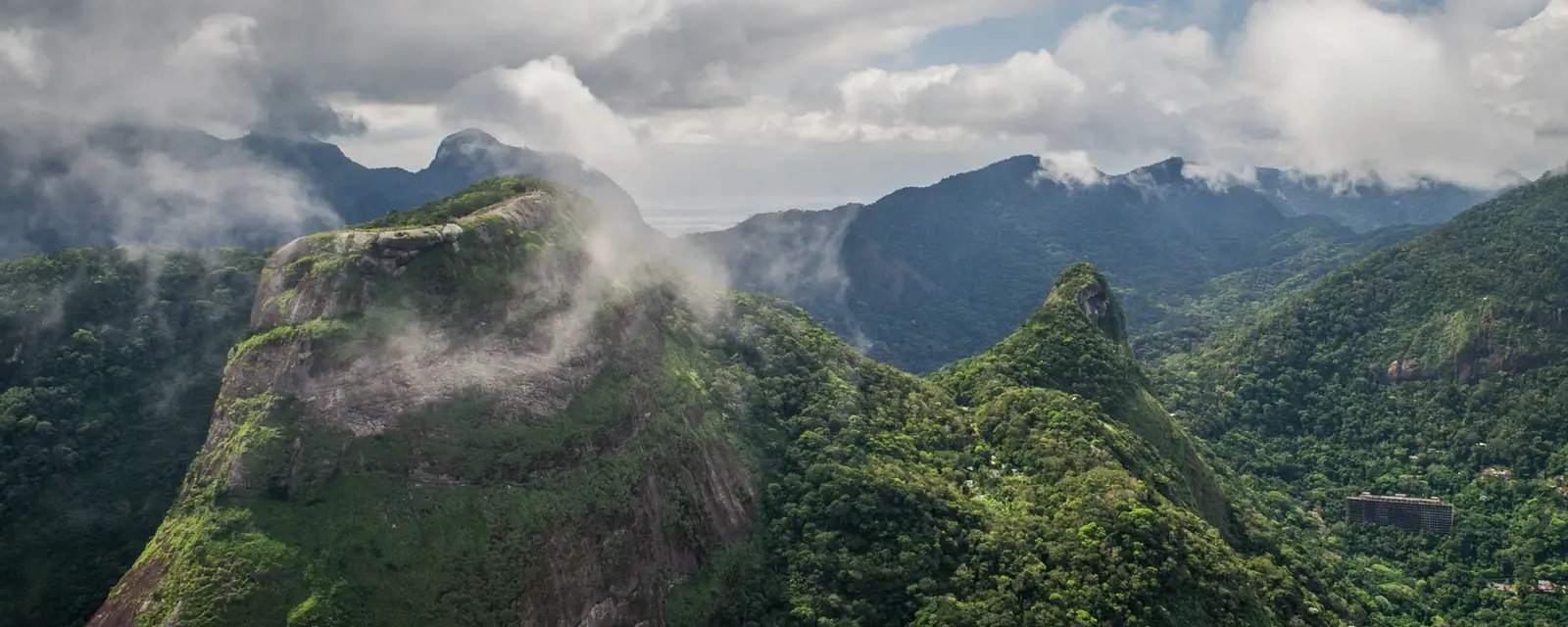 Dois caçadores são presos em flagrante no Parque Nacional da Tijuca - Imagem do artigo