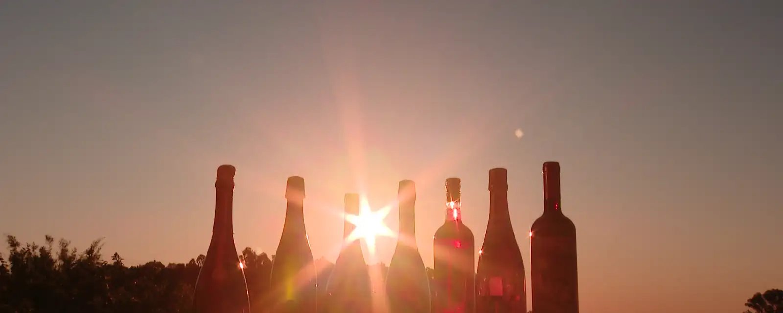 Trump ameaça impor tarifa de 100% sobre vinhos e champanhes franceses - Imagem do artigo