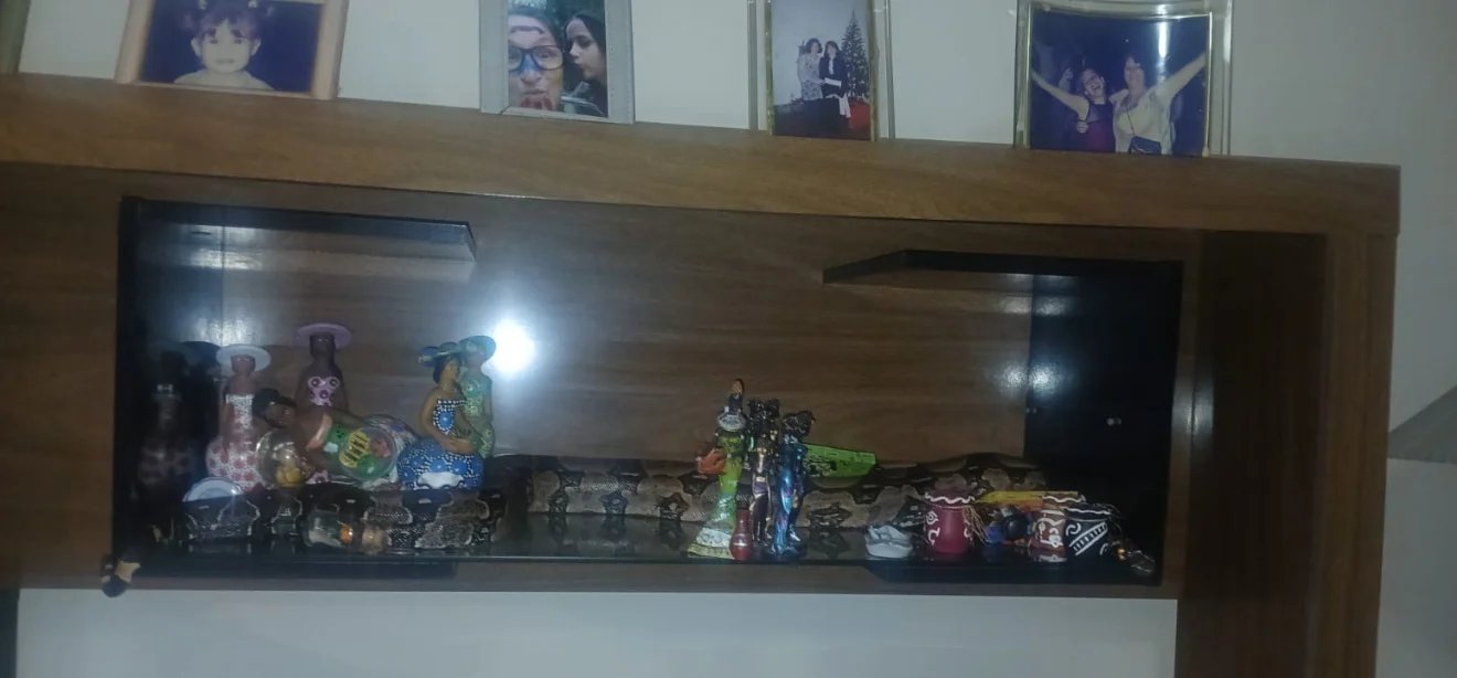 Jiboia é retirada de residência em Vila Velha por agentes da Guarda Municipal - Imagem do artigo