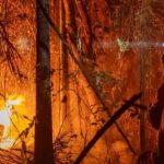 Governo edita MP e libera mais de R$ 337 milhões para enfrentar incêndios florestais Governo edita MP e libera mais de R$ 337 milhões para enfrentar incêndios florestais