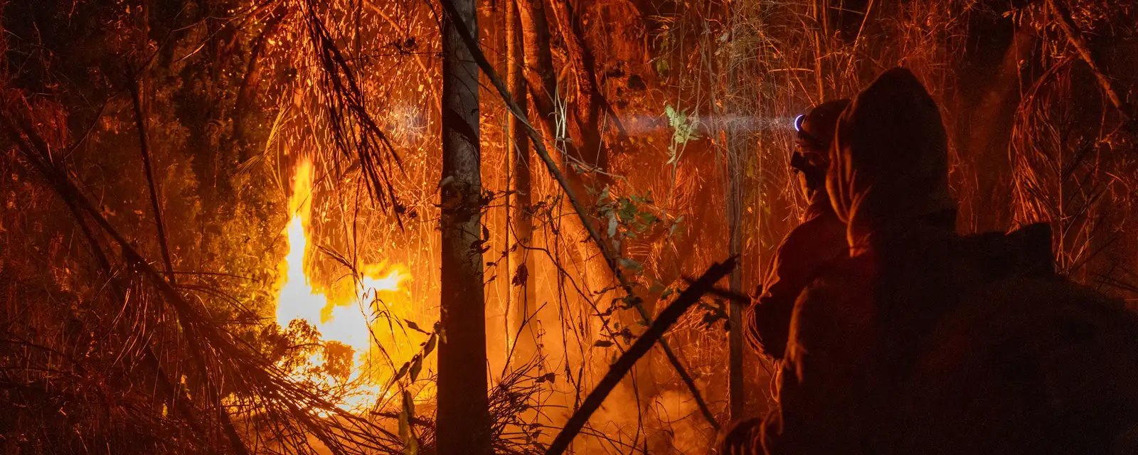 Governo edita MP e libera mais de R$ 337 milhões para enfrentar incêndios florestais - Imagem do artigo