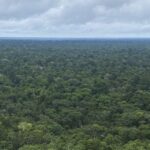 Antônia Soares traz a força da floresta ao Viva Maria