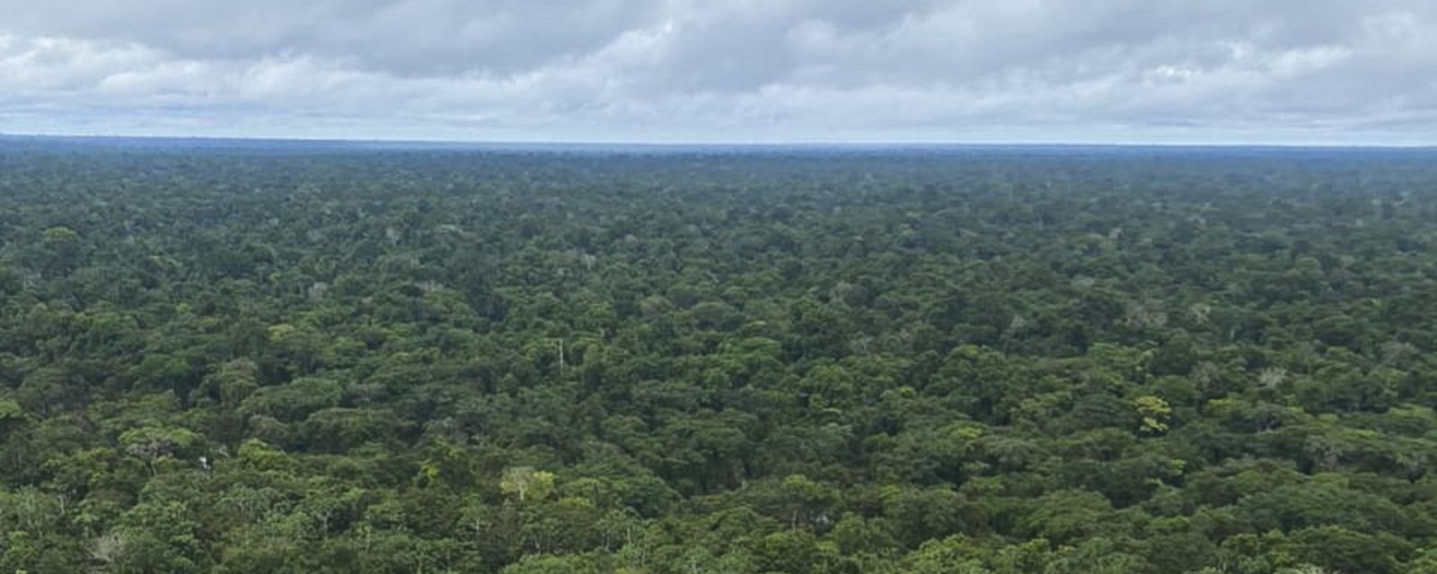 Antônia Soares traz a força da floresta ao Viva Maria - Imagem do artigo