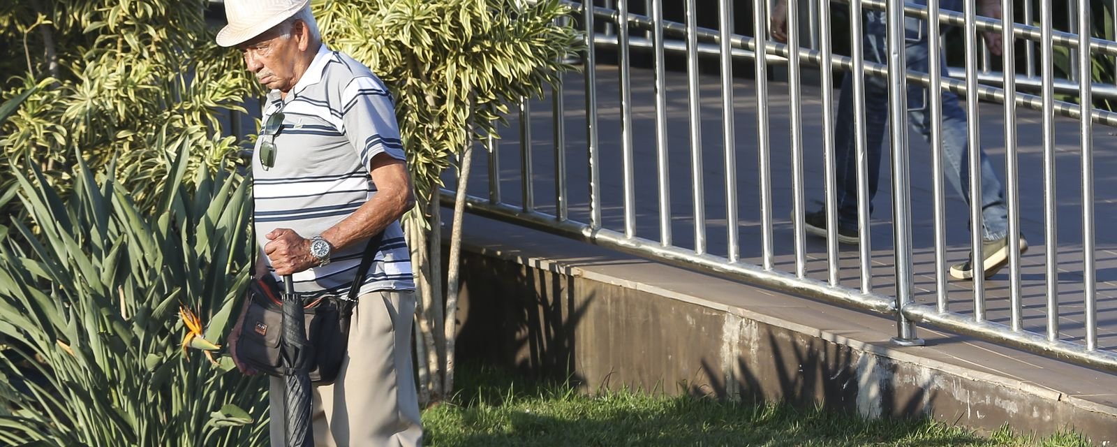 SUS lançará programa de atendimento domiciliar para idosos - Imagem do artigo