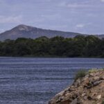 Especialistas orientam público sobre prevenção de acidentes com arraias Especialistas orientam público sobre prevenção de acidentes com arraias