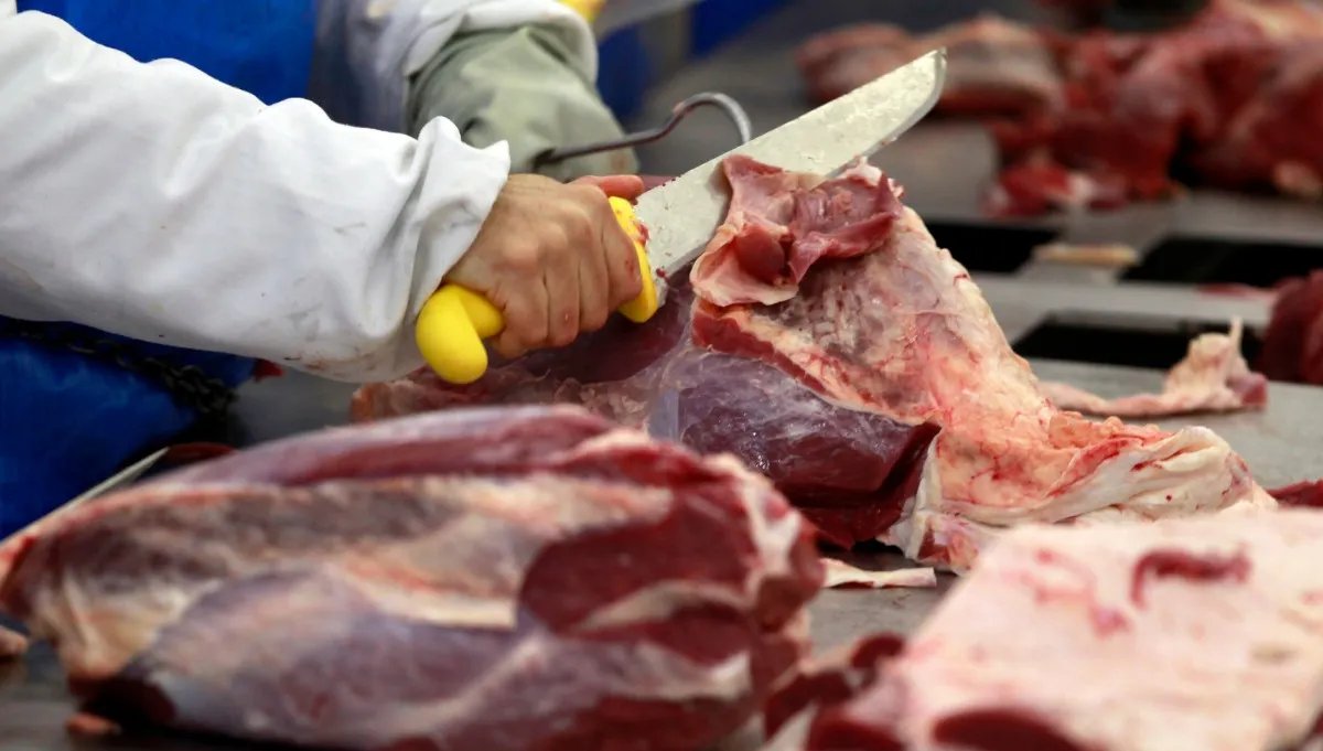 Exportações do agronegócio do Espírito Santo caem 2,3% no primeiro semestre de 2026 - Imagem do artigo