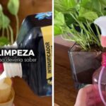 Vídeo no TikTok reúne seis truques de limpeza; Anvisa alerta para cuidados no uso de produtos