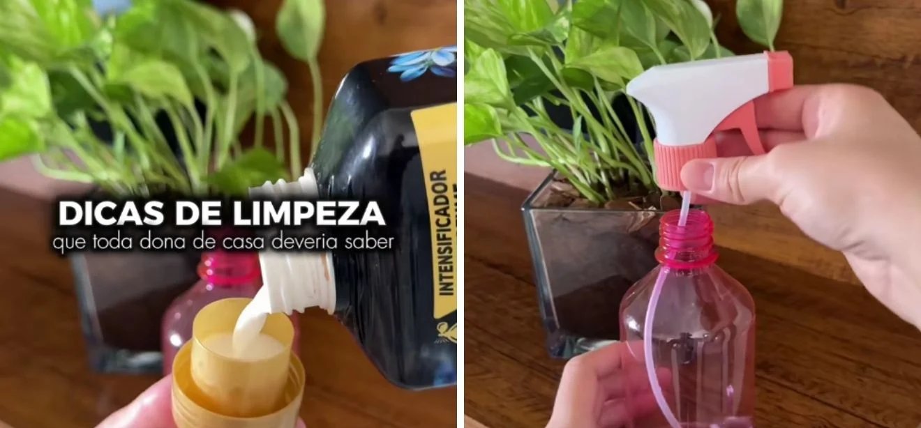 Vídeo no TikTok reúne seis truques de limpeza; Anvisa alerta para cuidados no uso de produtos - Imagem do artigo