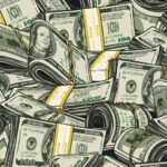 Startup de seguros Corgi fecha terceira captação em oito semanas e atinge avaliação de US$ 4 bilhões