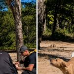 Equipes resgatam cão abandonado em manguezal de Guarapari