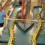 Ambev Anuncia Programa de Trainee com Remuneração de R$ 9.500