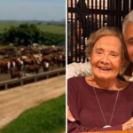 Tarcísio Filho assume fazenda herdada e se dedica à agropecuária aos 61 anos